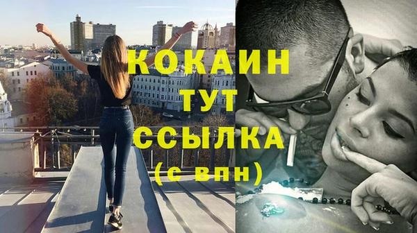 бошки Бородино