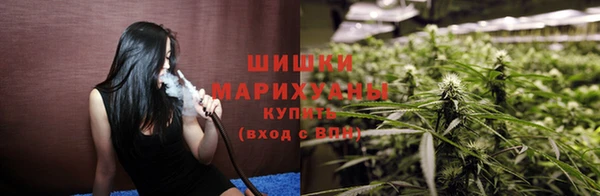 PSILOCYBIN Балабаново