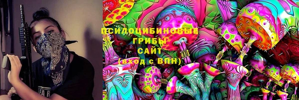 индика Белоозёрский