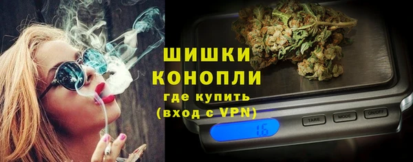 бошки Бородино